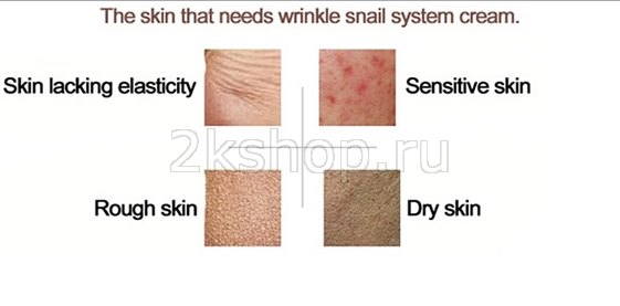 The Skin house Wrinkle Snail system cream